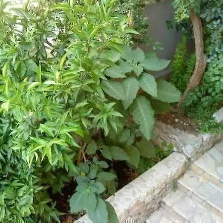 Levant Ventus By Interhome Διαμέρισμα Μακάρσκα