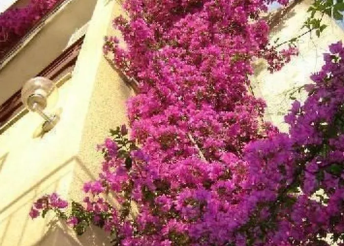 Levant Ventus By Interhome Διαμέρισμα *