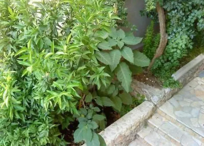 Levant Ventus By Interhome Διαμέρισμα Μακάρσκα